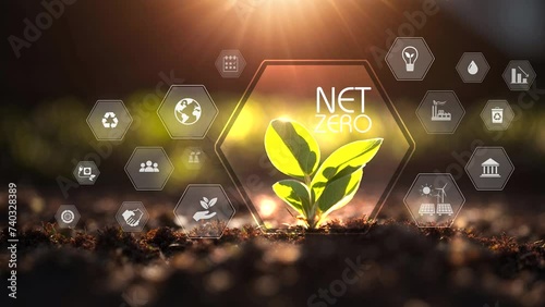 Net zero , carbon neutral concept. Net zero greenhouse gas emissions target 2050. Climate neutral long term strategy 2050 with green net zero icons on green young plant background. Generative AI photo