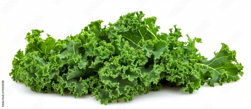 Obraz premium Vibrant kale leaves pattern background for healthy cooking concept