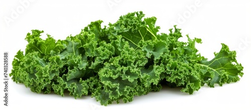 Vibrant kale leaves pattern background for healthy cooking concept