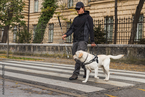 Blind pedestrian carrying a white cane and walking with a guide dog, crossing a street. Concepts of assistance dogs and foot traffic.