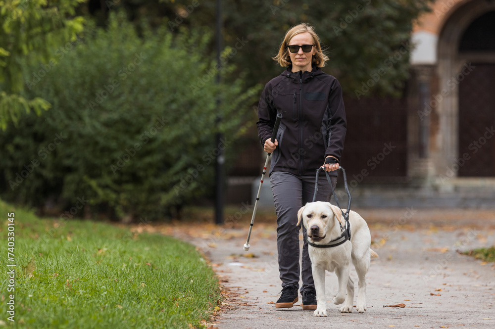 Blind woman in the company of her loyal guide dog safely and relaxed ...