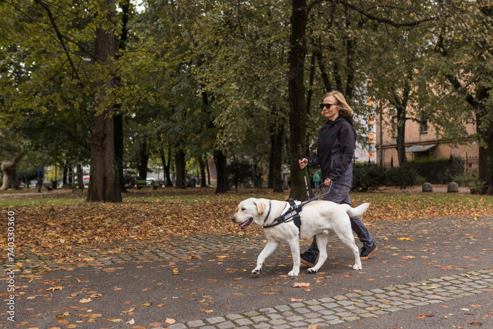 Woman with visual impairment walking with her guide dog through the city park. Assistance, companionship, and seeing eye dogs concepts. Woman with visual impairment walking with her guide dog through the city park. Assistance, companionship, and seeing eye dogs concepts.