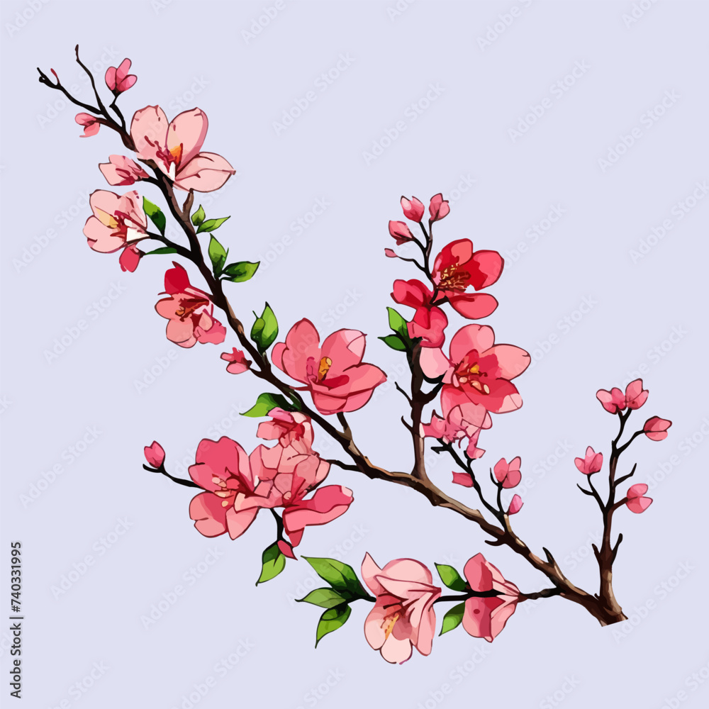 Naklejka premium Cherry blossoms vector watercolor Cherry blossoms branch vector