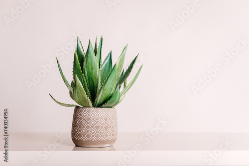 artificial aloe flower in a beautiful gray pot on a light background