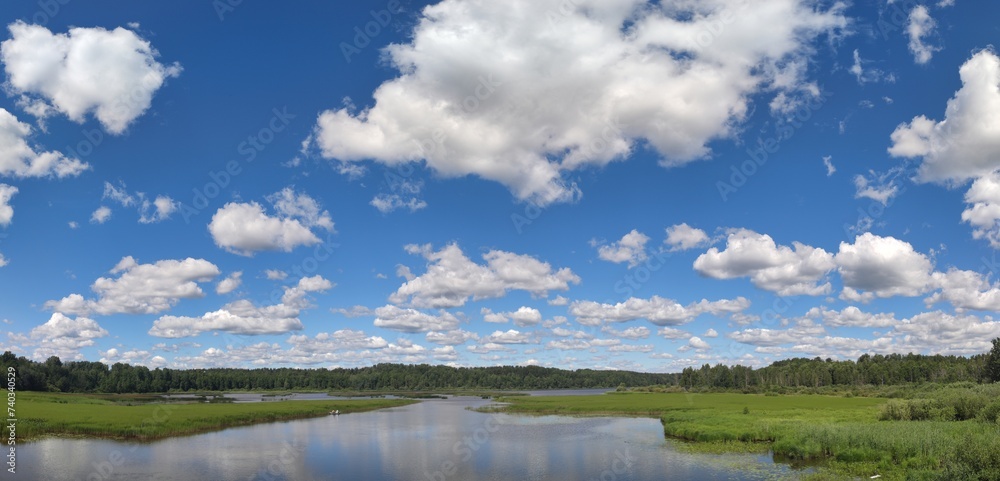 Lake under the clouds. On a sunny summer day, small cumulus clouds hang in the blue sky. Below them is a small pond overgrown with tall green reeds. A forest is visible in the distance.