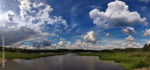 Lake under the clouds. On a sunny summer day  small cumulus clouds hang in the blue sky. Below them is a small pond overgrown with tall green reeds. A forest is visible in the distance.