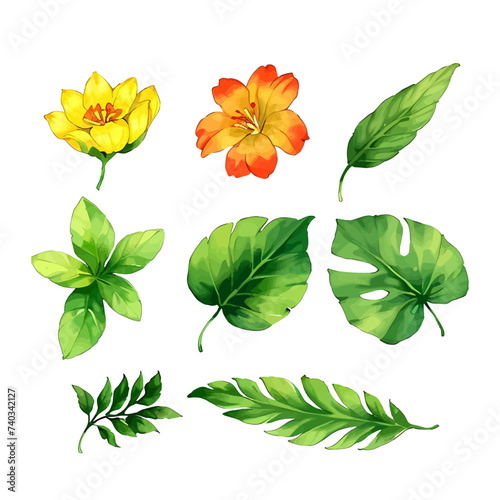 Flower vector watercolor flowers floral vector