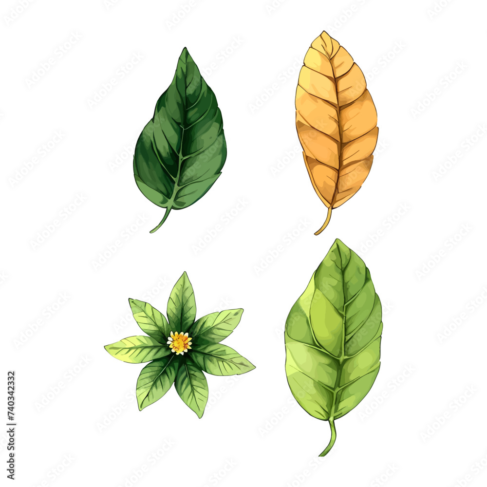 Obraz premium Flower vector watercolor flowers floral vector