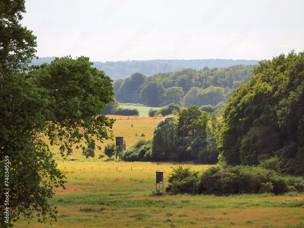 Fototapeta premium Landschaft in Holstein