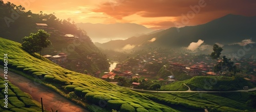 street with views of tea plantations, with sunset photo