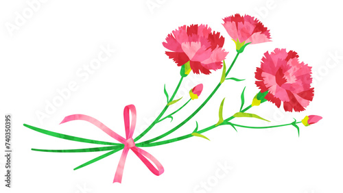 カーネーションの花とリボンの水彩イラスト（ピンク）