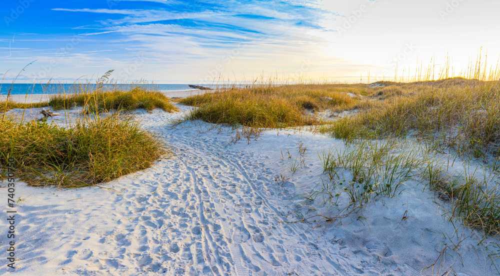 Path Through The Dunes to East Beach, Fort Clinch State Park, Amelia Island, Florida, USA Path Through The Dunes to East Beach, Fort Clinch State Park, Amelia Island, Florida, USA