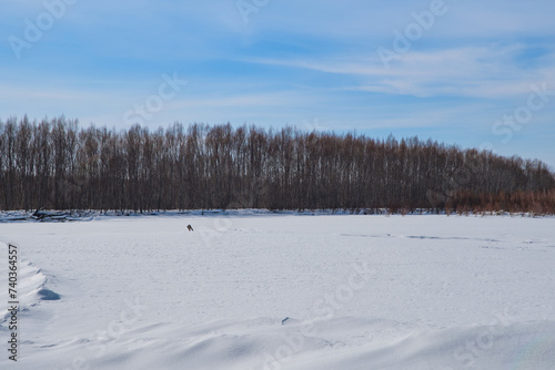 The mountain Russian river Khor in winter. Snow on the shore. A rapid flow of icy water.