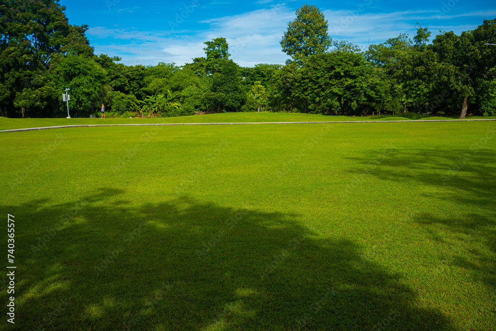 Green meadow grass field in city forest park sunny day blue sky with cloud