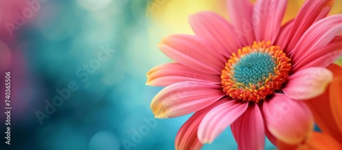 A closeup shot capturing a vibrant pink flower with a striking blue center set against a colorful background, showcasing the beauty and colorfulness of nature