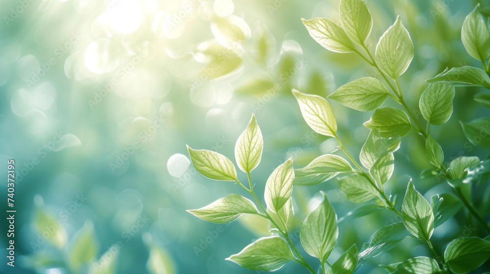 Detail of rustling green leaves in a blurred motion captured amidst a gusty wind. Detail of rustling green leaves in a blurred motion captured amidst a gusty wind.