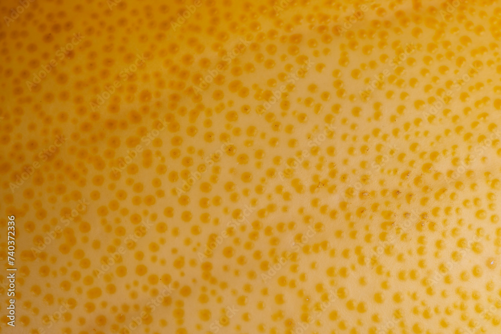 custom made wallpaper toronto digitalChunks of ripe pomelo close-up, fresh fruit