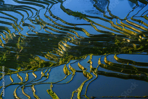 Yuanyang Terraced Fields in Yunnan Province  China