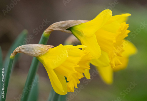 Spring is coming