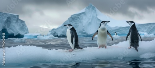 A group of penguins stands on a vast ice cap surrounded by freezing waters  under a cloudy sky in the polar region