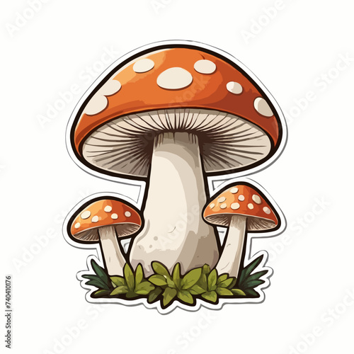 mushrooms illustration isolated on white 