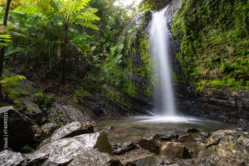 Waterfall hidden in El Yunque Rainforest on the island of Puerto Rico  the only tropical rain forest in the United States National Forest System