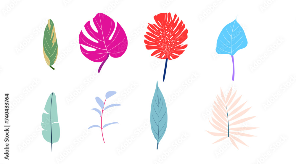 Obraz premium vector collection of illustrations of tropical foliage leaves