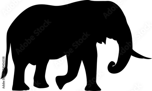 Elephant silhouette