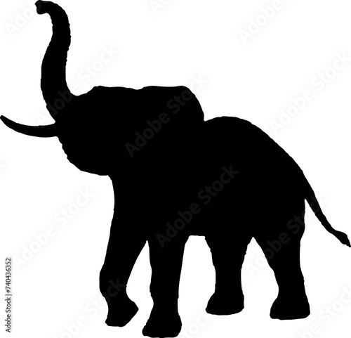 Elephant silhouette