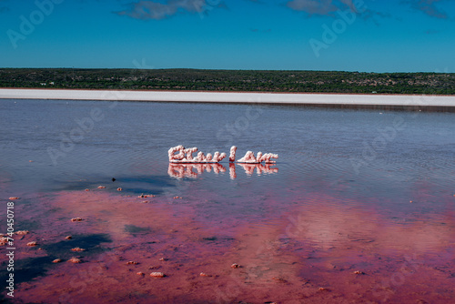 Australia, stunning Hutt Lagoon located in Western Australia is a 70 square kilometre marine salt lake. Its strawberry pink colour is caused by the presence of the algae dunaliella salina.  photo