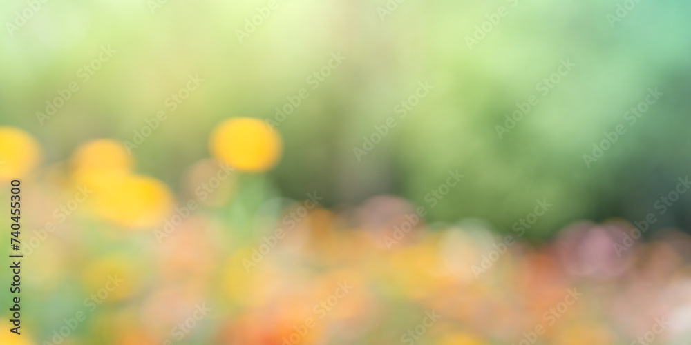 grass and flowers with blurred background on spring time