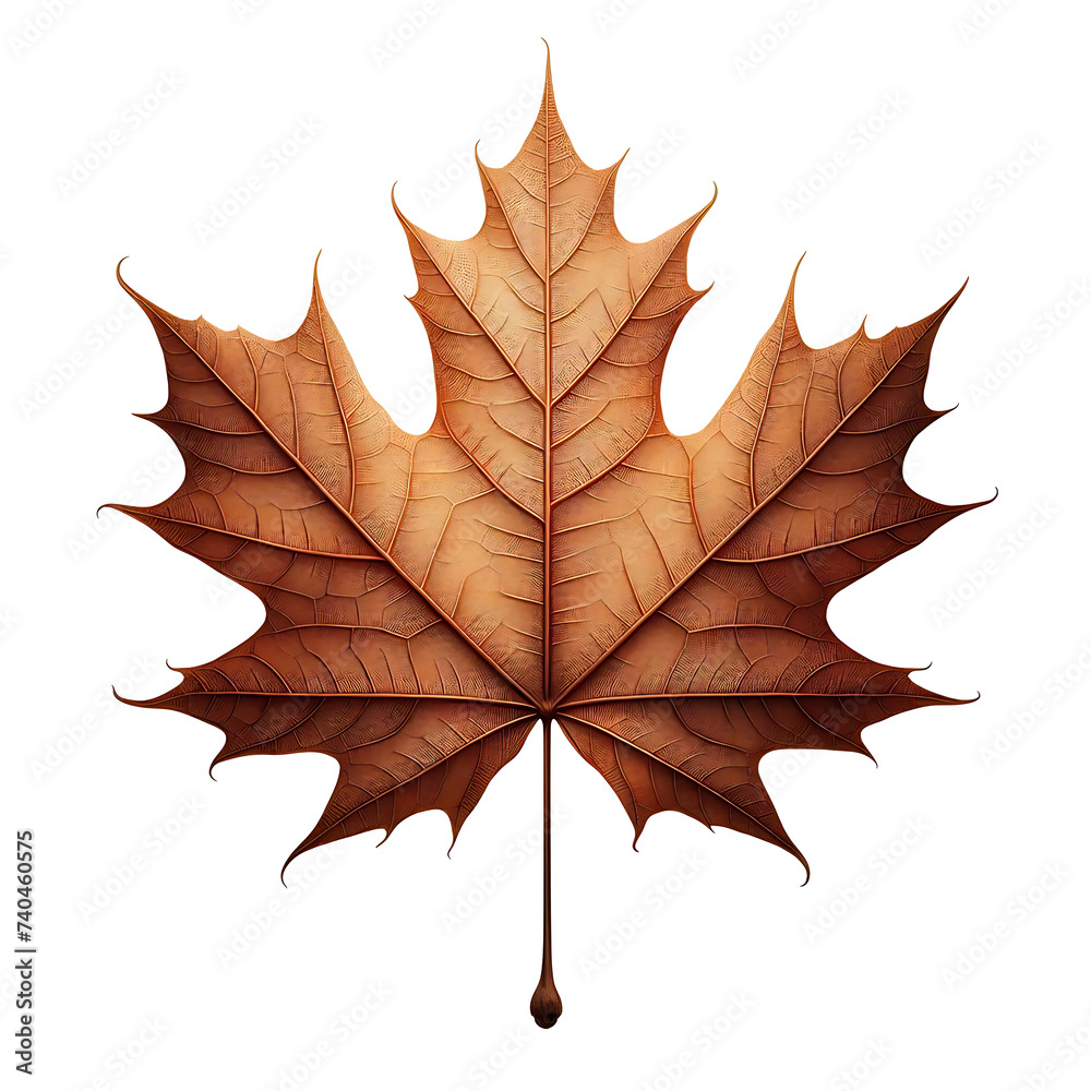 Obraz premium autumn maple leaf isolated on transparent background, AI generated 