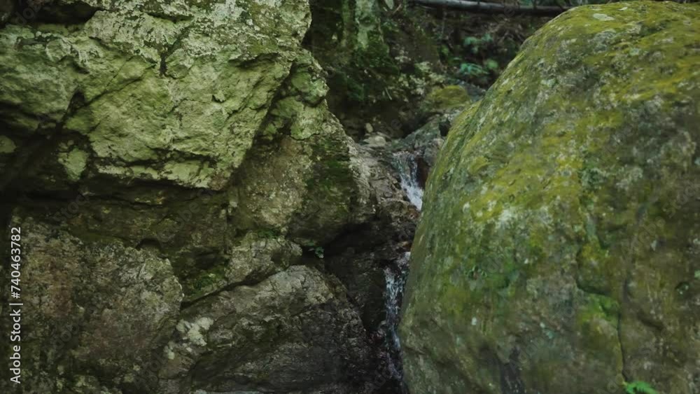 Mossy Rocks and Small Stream in Japanese Forest Mossy Rocks and Small Stream in Japanese Forest