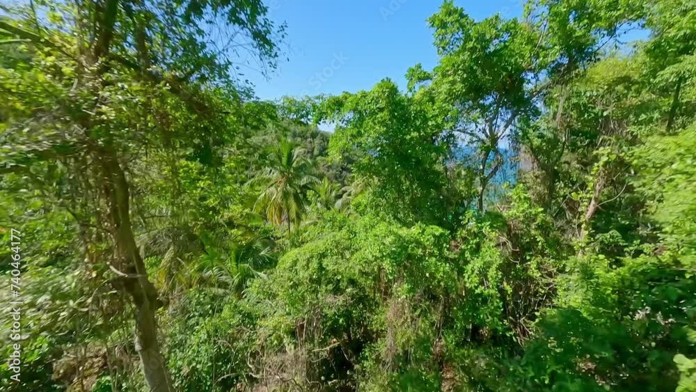 The natural beauty of Playa Onda beach through the trees, Samana, Dominican Republic_fpv shot The natural beauty of Playa Onda beach through the trees, Samana, Dominican Republic_fpv shot