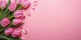 Background of pink tulips and petals