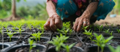 Harmony with Nature: A Woman Kneeling Down and Nurture Young Plants in Bed of Garden © TheWaterMeloonProjec