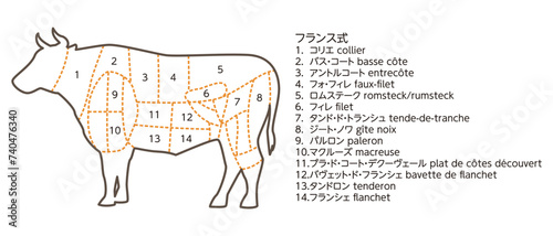 牛の部位のイラスト