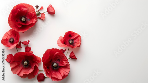 Poppy day great remembrance war world flanders, Wreath of Poppies isolated on white background. generative ai