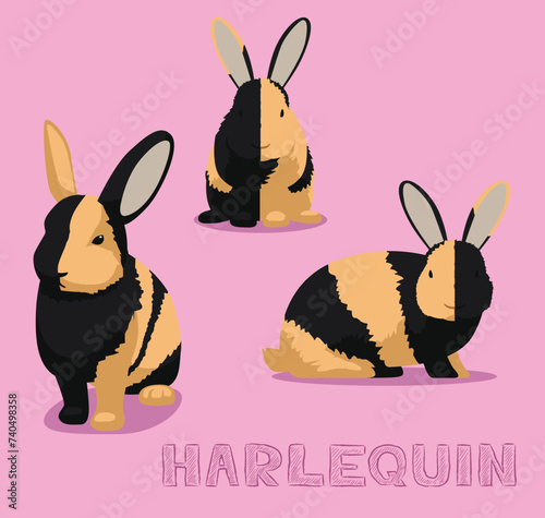 Rabbit Harlequin Cartoon Vector Illustration