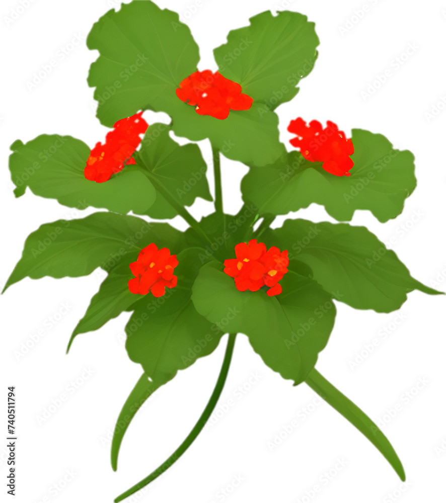 Begonia clipart. A cute Begonia flower icon. Begonia clipart. A cute Begonia flower icon.
