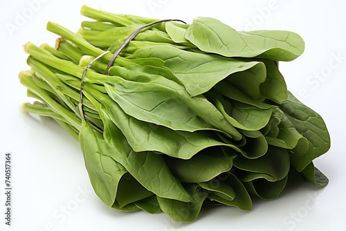 close up a Malabar spinach isolated on white background 
