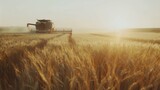Harvester machine to harvest wheat field working Combine harvester agriculture machine harvesting golden ripe wheat field Agriculture : Generative AI