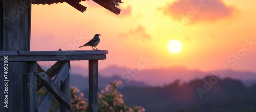 Majestic bird perched on rustic wooden fence under stunning sunset sky