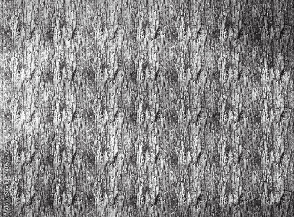 Obraz premium 제목 없는 아트워크