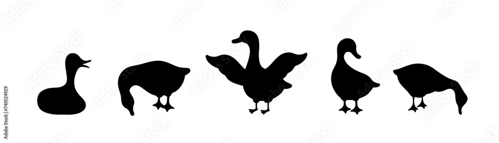 Fototapeta premium Set of gooses silhouette. Domestic and wild ducks on white background. Agriculture birds on farm. Rural wildlife. Hand drawn print. Vector illustration in flat style.