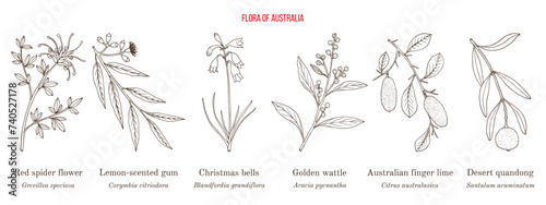 Flora of Australia, collection on native australian plants