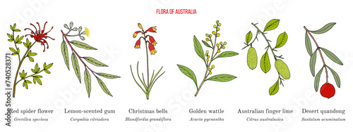 Flora of Australia, collection on native australian plants photo