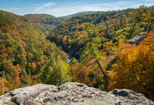 Obed Wild & Scenic River in the Cumberland Plateau in Tennessee