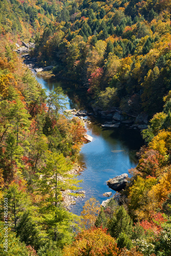 Fototapeta Naklejka Na Ścianę i Meble -  Obed Wild & Scenic River in the Cumberland Plateau in Tennessee