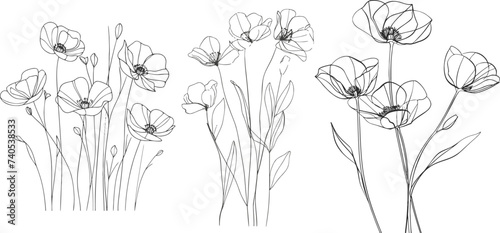 Poppy flower line art. Minimalist contour drawing